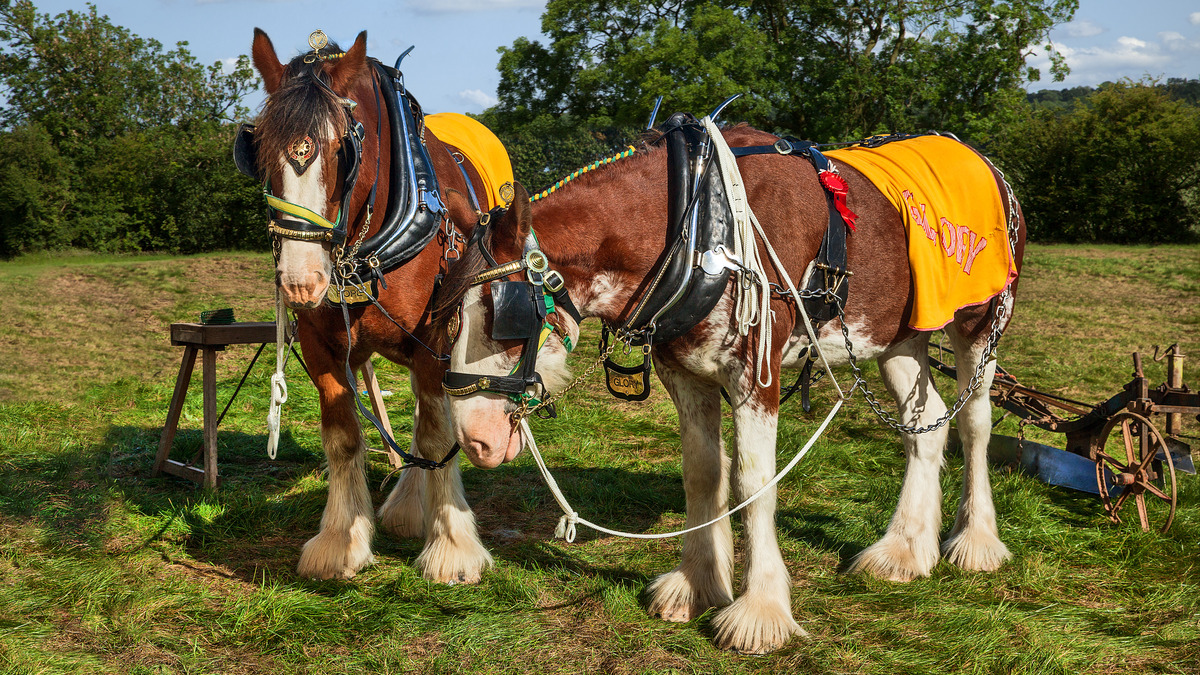 1st. - Richard Green